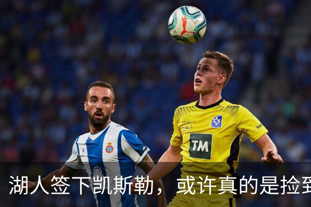 湖人签下凯斯勒，或许真的是捡到宝的操作！