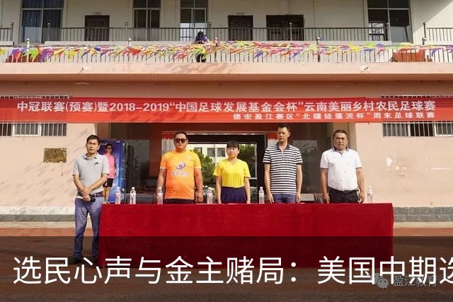 选民心声与金主赌局：美国中期选举的双面碰撞